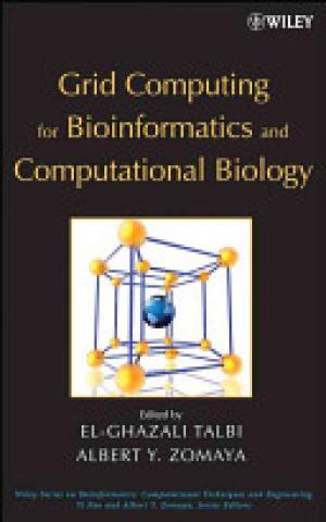 Grid Computing for Bioinformatics and Computational Biology