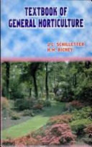 Biocatalytic Preparation of Amino Acids