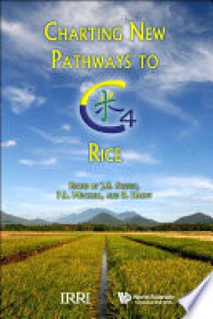 Charting New Pathways to C4 Rice