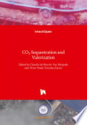 CO2 Sequestration and Valorization